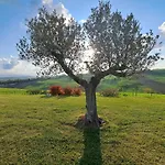 Vernaschi