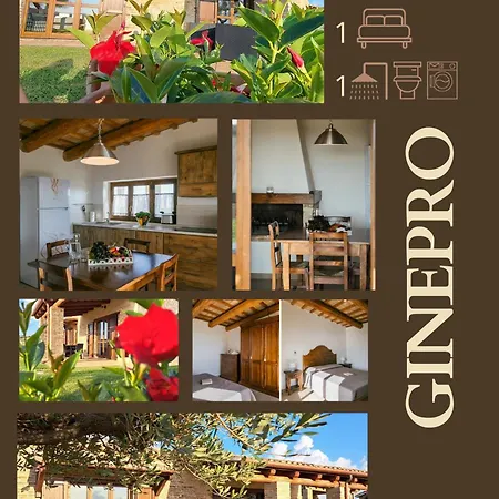 Vernaschi Santa Maria Nuova (Ancona)