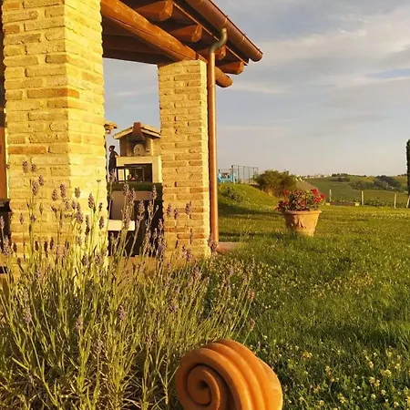 Vernaschi Santa Maria Nuova (Ancona)